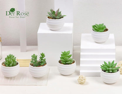 Der Rose 6 Pack Fake Plants Small Realistic Succulents Plants Artificial for Home Room Decor Indoor