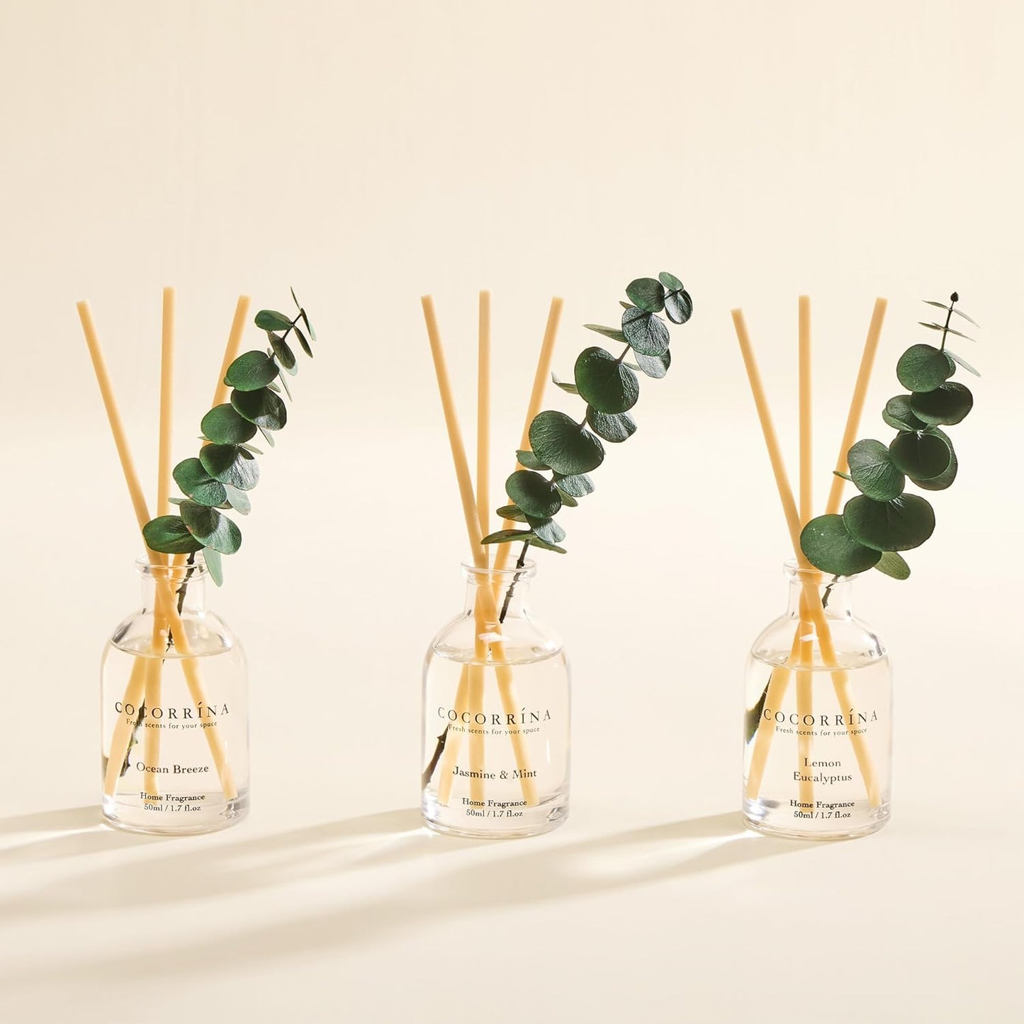 COCORRÍNA Eucalyptus Reed Diffuser Set of 3 - Lavender Eucalyptus, Black Forest, Clean Cotton Scents, 1.7 fl oz Each, Total 5.1 oz, Scented Oil Diffusers for Home & Office﻿