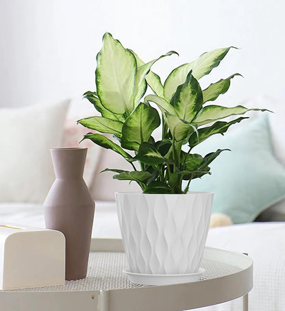 4 Inch Plant Pots, 6 Pack Indoor Flower Pots, Planters with Drainage Holes and Trays for Orchids, Violets, Succulents, Herbs, and Other Plants,Corolful