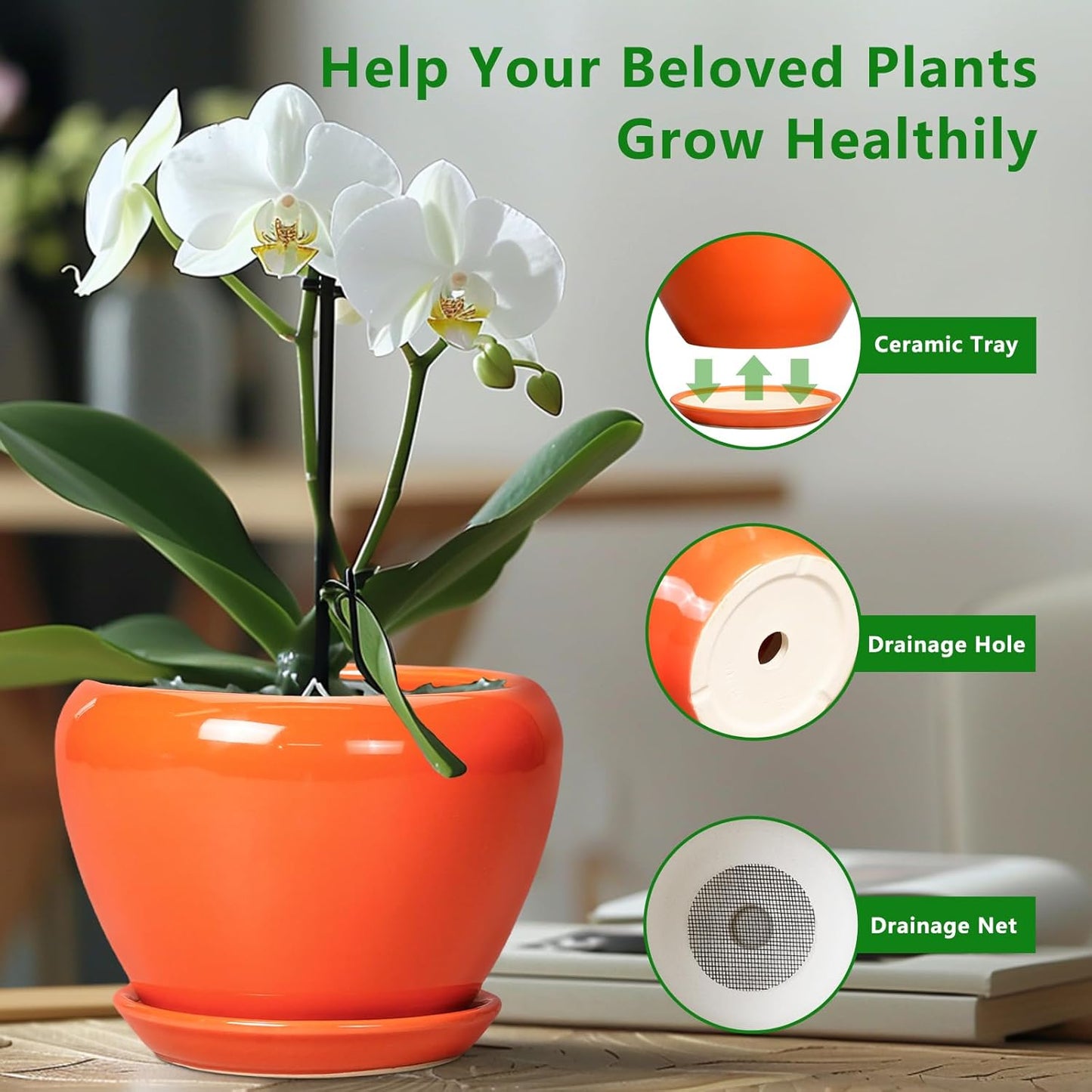 Ceramic Modern Glaze Succulent Planter Pot with Drainage Hole and Saucer 6 Inch Round Flower Plant Pot for Indoor Outdoor Herb Snake Plants
