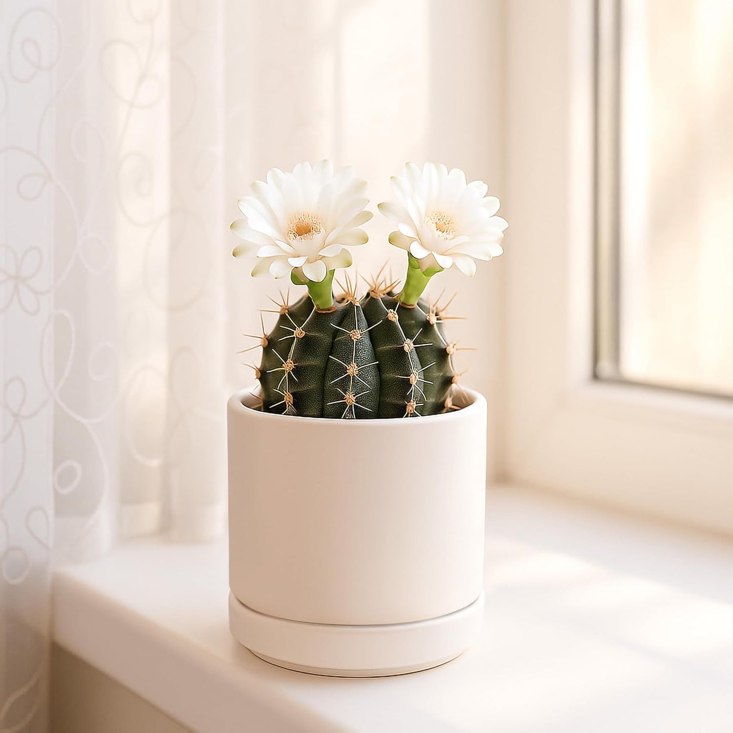 D'vine Dev 6.5 Inch Ceramic Planter Pot with Drainage Hole and Saucer, Indoor Cylinder Round Planter Pot, Olive, 94-O-C-J