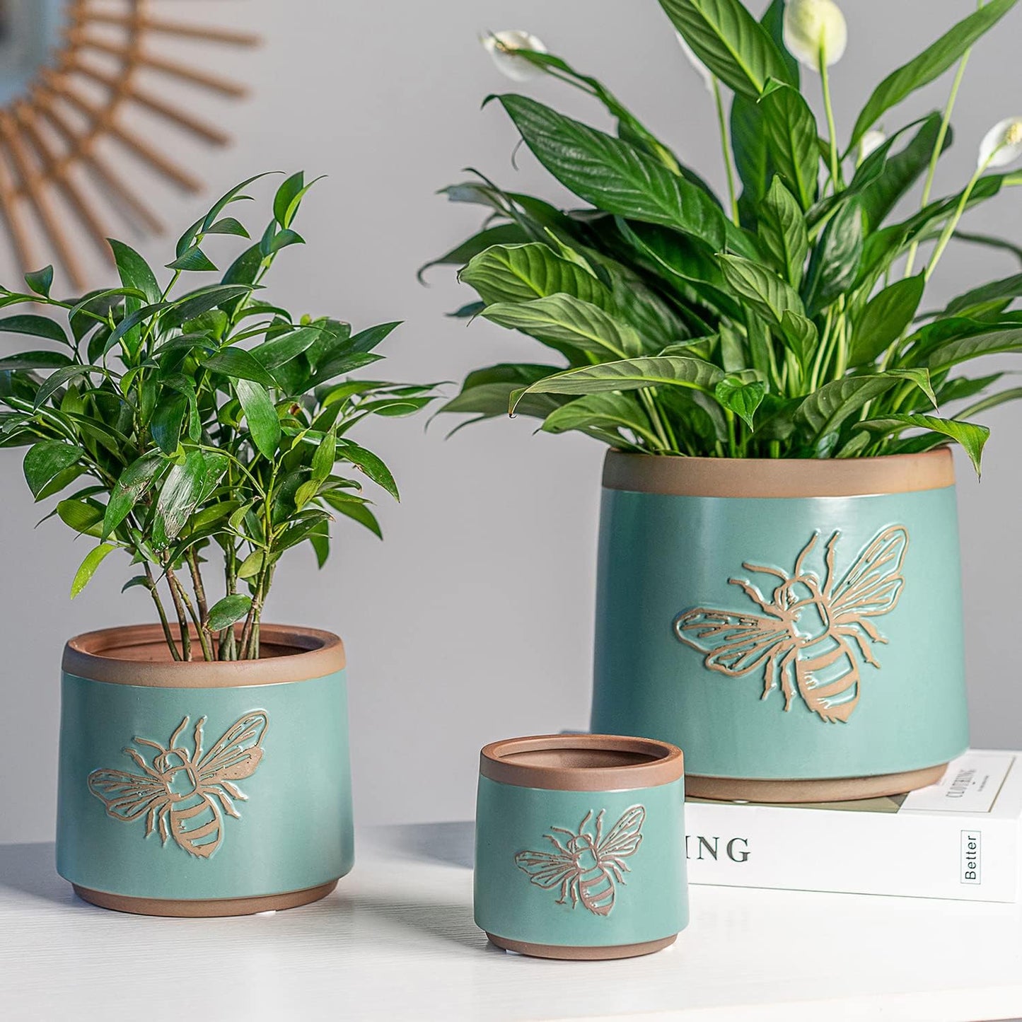 YBX 8 Inch + 6 Inch Ceramic Plant Pots, Succulent Flower Pots with Drainage Holes, Terracotta Planters for Indoor Plants, White&Terracotta (Garden)