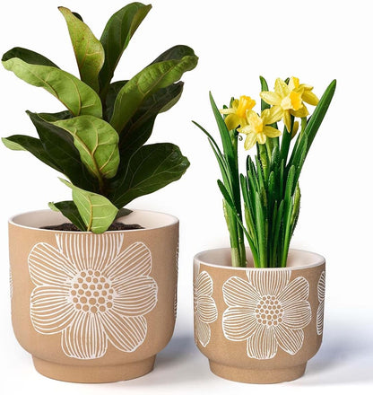 YBX 8 Inch + 6 Inch Ceramic Plant Pots, Succulent Flower Pots with Drainage Holes, Terracotta Planters for Indoor Plants, White&Terracotta (Garden)