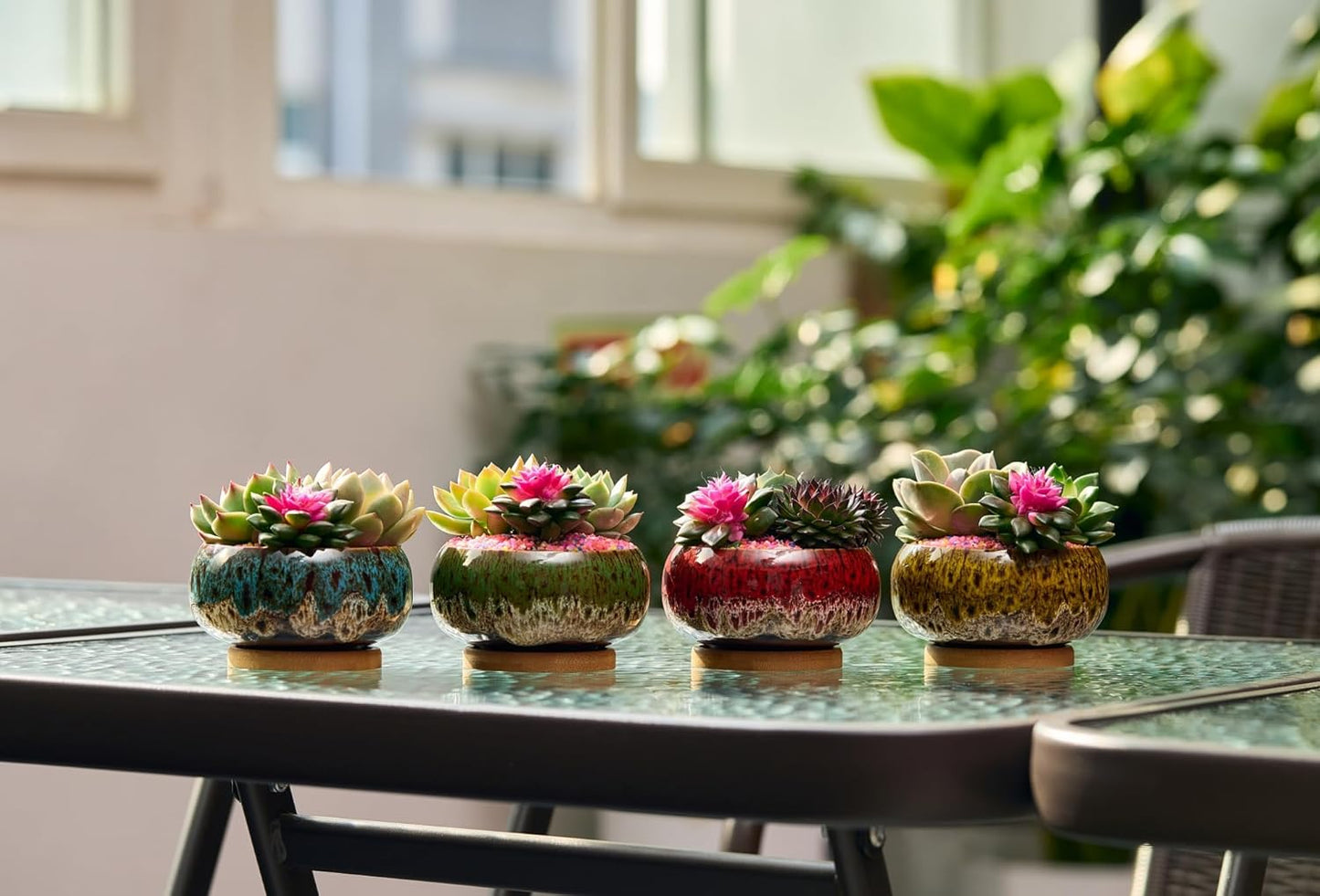 Cute Ceramic Succulent Garden Pots, Planter with Drainage and Attached Saucer, Set of 5 -Plants Not Included (Round)