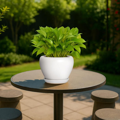 Deep Dream 6 Inch Plant Pots- Ceramic Planter Pot with Drainage Hole and Saucer, Round Flower Pot for Indoor Outdoor Succulent, Snake Plants and Cactus, Blue