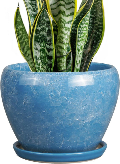 Ceramic Modern Glaze Succulent Planter Pot with Drainage Hole and Saucer 6 Inch Round Flower Plant Pot for Indoor Outdoor Herb Snake Plants