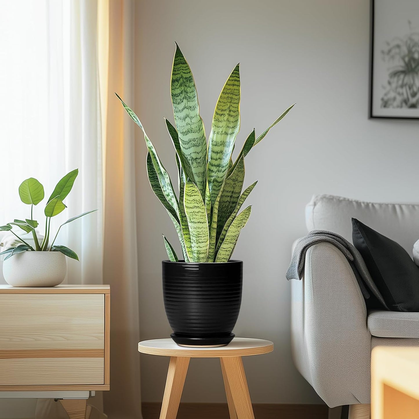 Ceramic Pots for Plants - 6 Inch Plant Pot with Drainage Hole and Saucer, Round Planters for Indoor Outdoor, Flower Pots, Modern Planter, Home Office Room Decor, Gifts for Plant Lovers, White
