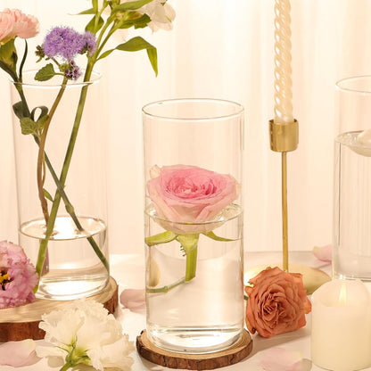 TBWIND 12pcs Glass Cylinder Vases for Centerpieces, 6 Inch Clear Flower Vases for Wedding Decorations and Indoor Home Decor, Hurricane Candle Holder for Table Shelf, Party