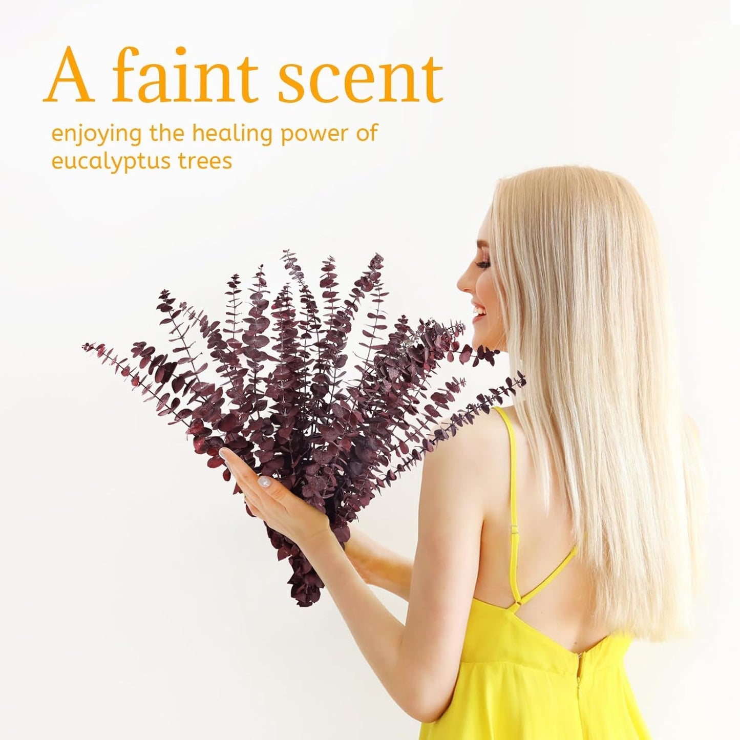 Real Eucalyptus Stems 20PCS Dried Preserved Fresh Eucalyptus Silver Dollar Leaves for Shower - Greenery Branches for Wedding Home Party Vase Filler Spring Decor