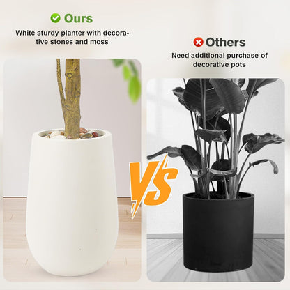 5FT Artificial Ficus Tree with White Planter and Pebbles,Faux Silk Tree with Lifelike Leaves and Realistic Trunk,Tall Fake Potted Plant for Home and Office Décor Indoor and Outdoor (5FT)