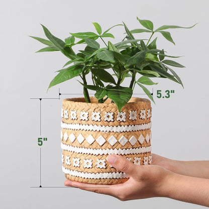 vomiceak Face Planter Pots Head, Planters for Indoor Plants - Double Cute Plant Pots for Flower & Succulent with Drainage Holes - Gift Ideas for Women (White Lady)