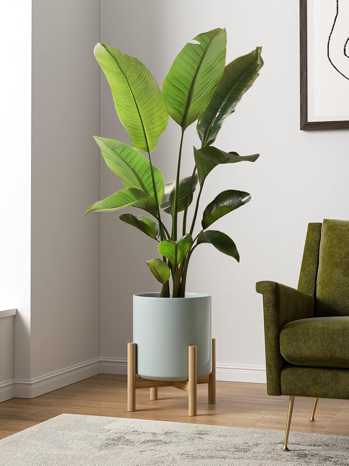 LE TAUCI 12 Inch Pot for Plants, Ceramic Planters for Indoor Plants, Mid-Century Modern Cylinder Flower Pots with Drainage Hole, Fits Fiddle Leaf Fig & Monstera, Home Decor, White