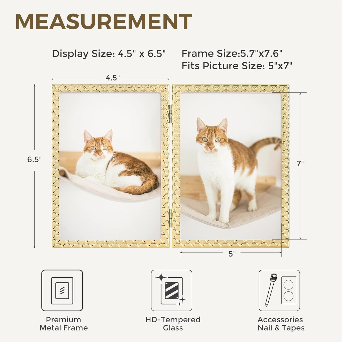 RICHFOCUS Gold 5x7 Floating Picture Frame for Photo 4x6 3.5x5 | 5 x 7 Metal Picture Frames with Double Glass for Tabletop|Modern Photo Frames Wedding|Home Decor