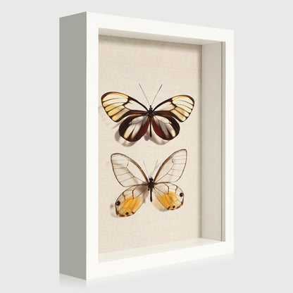 12x16 Large Shadow Box Picture Frame Display Case with Soft Linen Back, White Wooden Memory Shadow Box Frame with Tempered Glass Cover for Wall Display