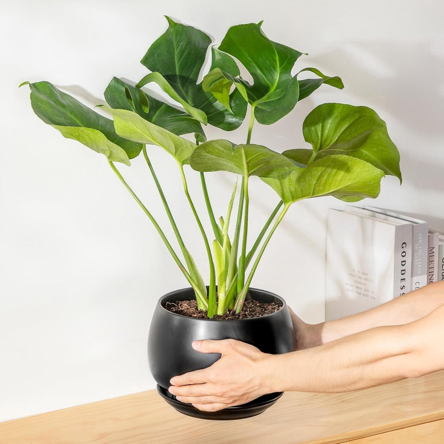 vancasso 3-Pack Ceramic Plant Pots, 3.7/4.8/6.2 Inch Indoor Planters with Saucers & Drainage Hole Planter pots for Indoor Plants and Flower, White