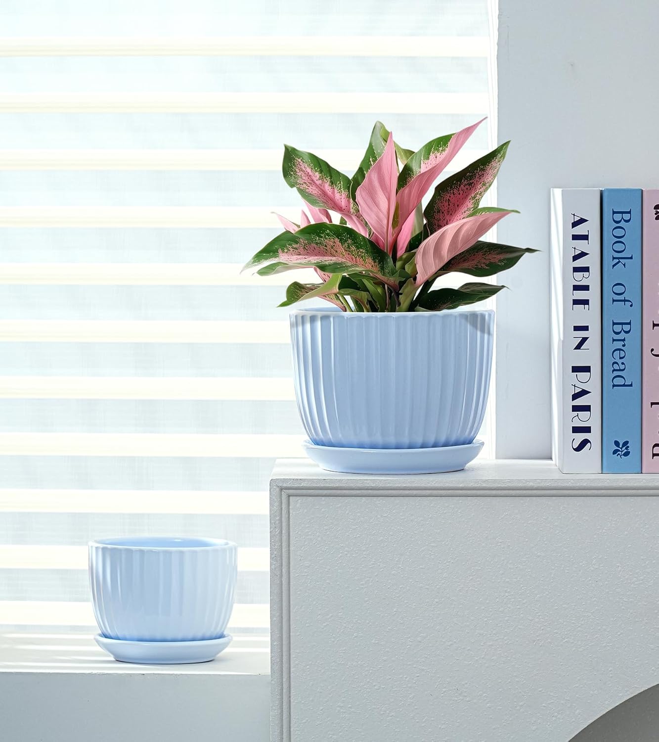 Ton Sin Pink Gold Ceramic Flower Pots, 4"+5"+6" Inch Small Glazed Succulent Planters with Drainage Hole,Modern Indoor Decorative Plant Pots Set of 3,Garden Pots with Saucer