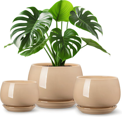 vancasso 3-Pack Ceramic Plant Pots, 3.7/4.8/6.2 Inch Indoor Planters with Saucers & Drainage Hole Planter pots for Indoor Plants and Flower, White