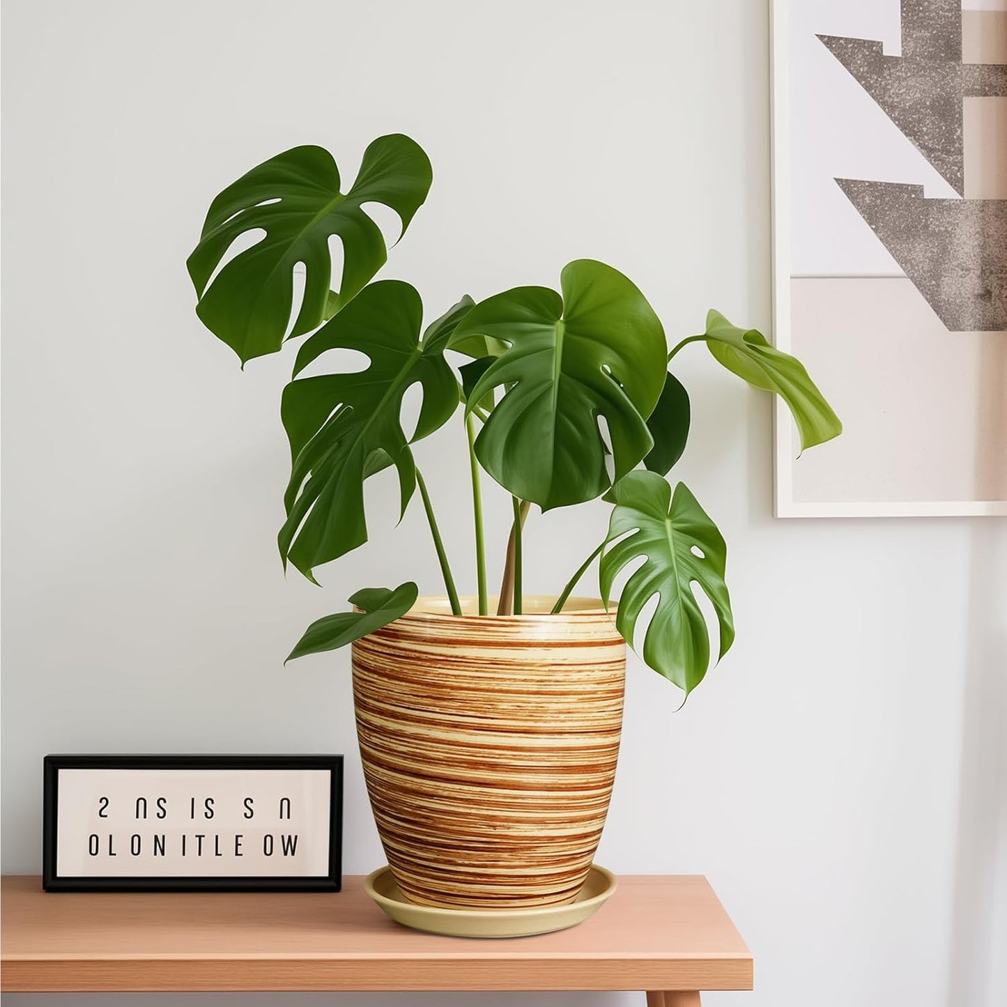 Ceramic Pots for Plants - 6 Inch Plant Pot with Drainage Hole and Saucer, Round Planters for Indoor Outdoor, Flower Pots, Modern Planter, Home Office Room Decor, Gifts for Plant Lovers, White