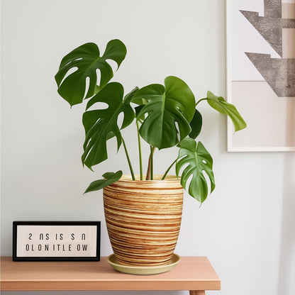Ceramic Pots for Plants - 6 Inch Plant Pot with Drainage Hole and Saucer, Round Planters for Indoor Outdoor, Flower Pots, Modern Planter, Home Office Room Decor, Gifts for Plant Lovers, White