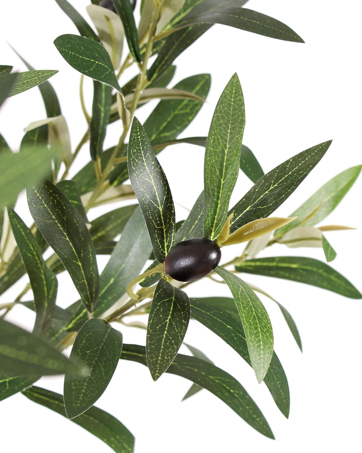 FLOWORLD 6FT Olive Trees Artificial Indoor, Tall Faux Olive Tree 6FT (72in) with Natural Wood Trunk & Realistic Olives, Stable Base, Pet Friendly Artificial Plant for Home Office, Living Room, Outdoor