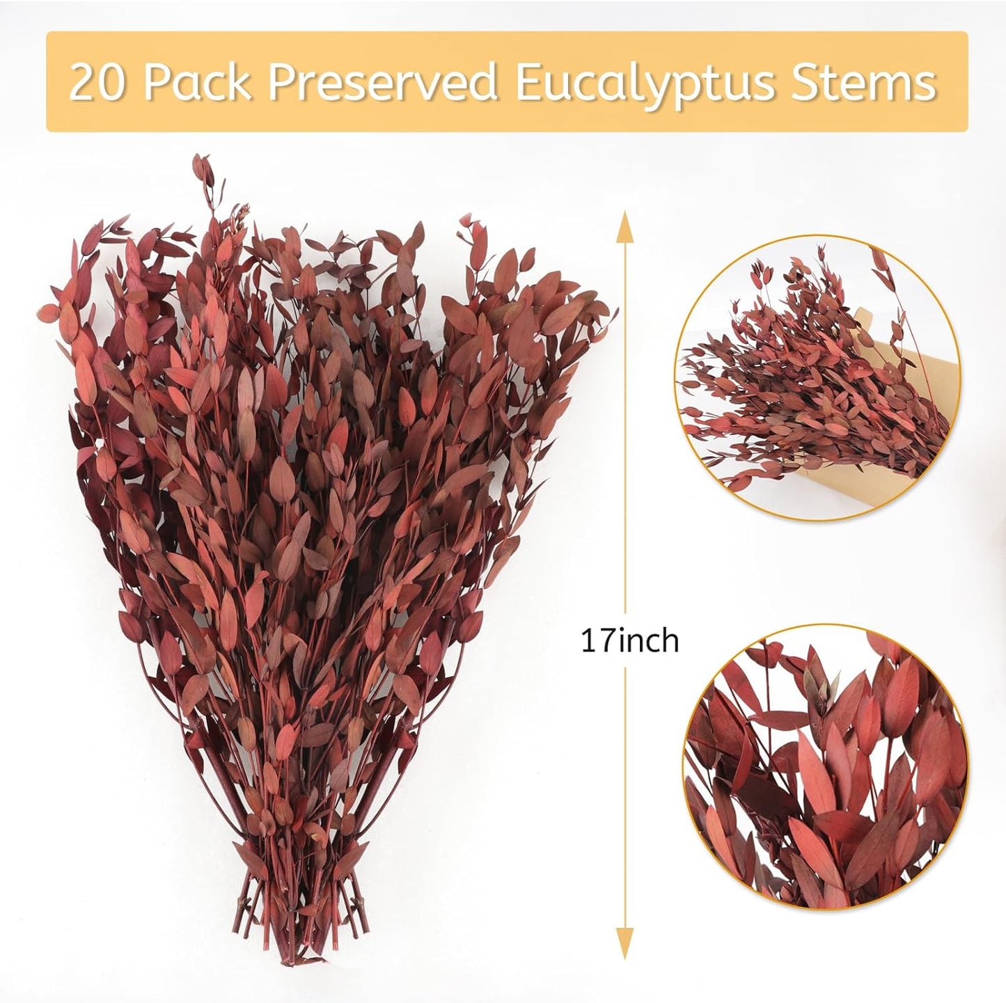 Real Eucalyptus Stems 20PCS Dried Preserved Fresh Eucalyptus Silver Dollar Leaves for Shower - Greenery Branches for Wedding Home Party Vase Filler Spring Decor
