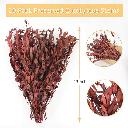 Real Eucalyptus Stems 20PCS Dried Preserved Fresh Eucalyptus Silver Dollar Leaves for Shower - Greenery Branches for Wedding Home Party Vase Filler Spring Decor