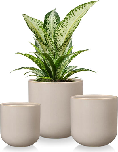 vancasso Ceramic Plant Pots, 4+5+6 inches, Set of 3, Planters with Drainage Hole, Flower Pots Planters Pots for Indoor Plants, Modern Indoor Decorative Garden Pot, Home Decor, White