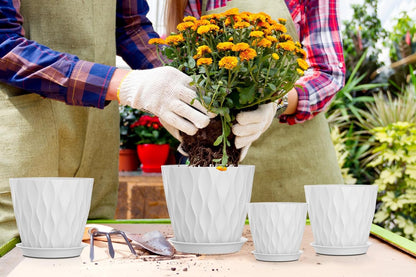 4 Inch Plant Pots, 6 Pack Indoor Flower Pots, Planters with Drainage Holes and Trays for Orchids, Violets, Succulents, Herbs, and Other Plants,Corolful