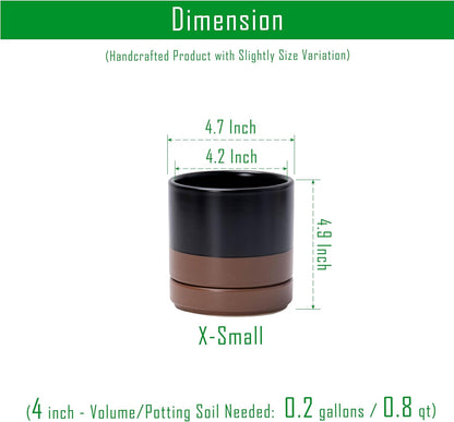 D'vine Dev Set of 2 Plants Pots, 6.5 Inch Ceramic Planter Pot for Plants with Drainage Hole and Saucer, White, 94-V-C-1