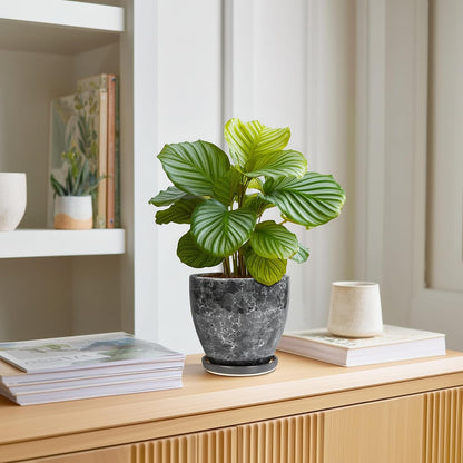 10 Inch Ceramic Planter Pot Round Plant Pot for Indoor Plants Outdoor Large Flower Pot with Drainage Hole and Saucer Blue