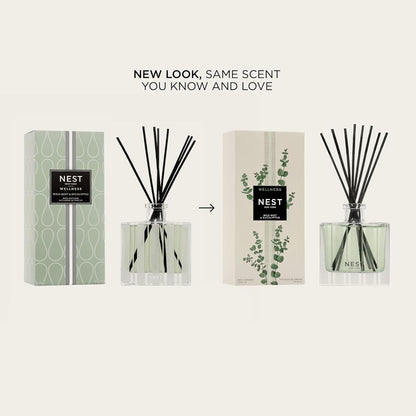 NEST New York Reed Diffuser, Himalayan Salt & Rosewater - The Wellness Collection - 5.9 fl oz - Fragrance for Up to 90 Days - Reusable, Refillable Glass Holder - Includes 8 All-Natural Reed Sticks