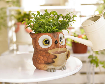 Saysmile Unique Owl Plant Pots Indoor, Cute Small Succulent Pots with Drainage Hole, Rocking Chair Planters for Outdoor Indoor Plants, Resin Flower Pot for String of Pearls, Gift Ideas for Mother