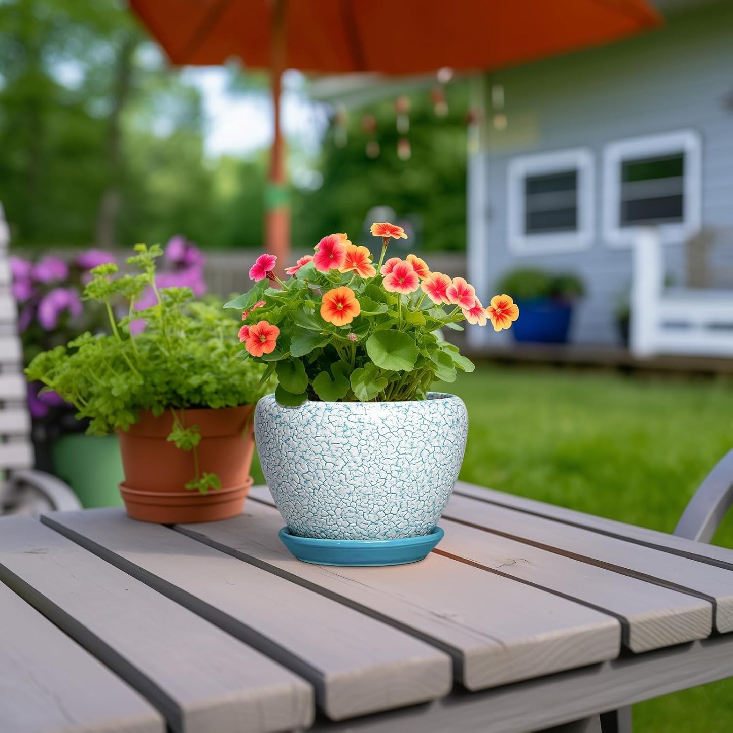 6 Inch Plant Pot - Ceramic Pots for Plants with Drainage Hole and Saucer, Round Succulent Planter Indoor Outdoor, Modern Flower Pot for Snake Plants, Home Decor, Gifts for Plant Lover, Blue
