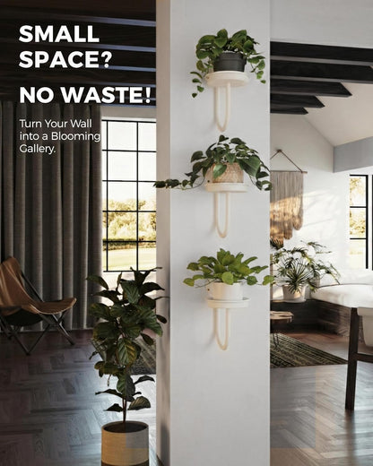 Bamworld Hanging Planters for Indoor Plants Wall Plant Holder Plant Hanger Indoor Wall Planters Window Plant Shelves Hanging Plant Holder Window Plant Hanger Plant Decor Black 3pcs