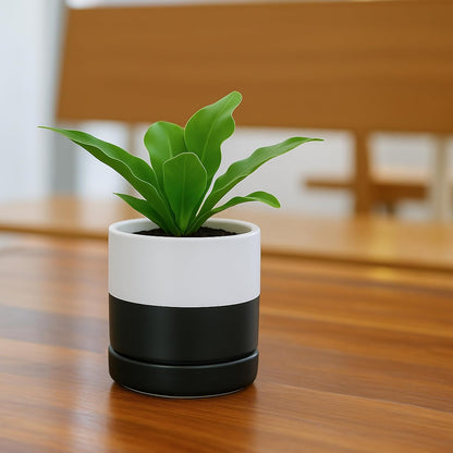 D'vine Dev 6.5 Inch Ceramic Planter Pot with Drainage Hole and Saucer, Indoor Cylinder Round Planter Pot, Olive, 94-O-C-J