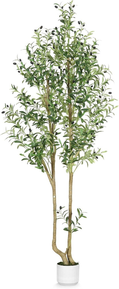 HZXGCP 6ft Artificial Olive Tree Indoor, Fake Olive Tree with White Pot, Faux Olive Tree with Dense Leaves & Realistic Fruits, Tall Artificial Plant for Home Living Room Office Entryway Decor