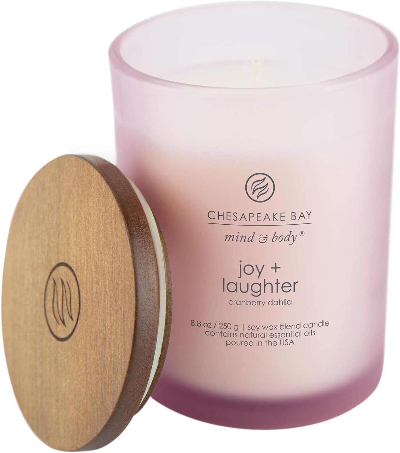 Chesapeake Bay Candle PT40886 Scented Candle Awaken + Invigorate (Lemongrass Eucalyptus) Medium Green Home Décor