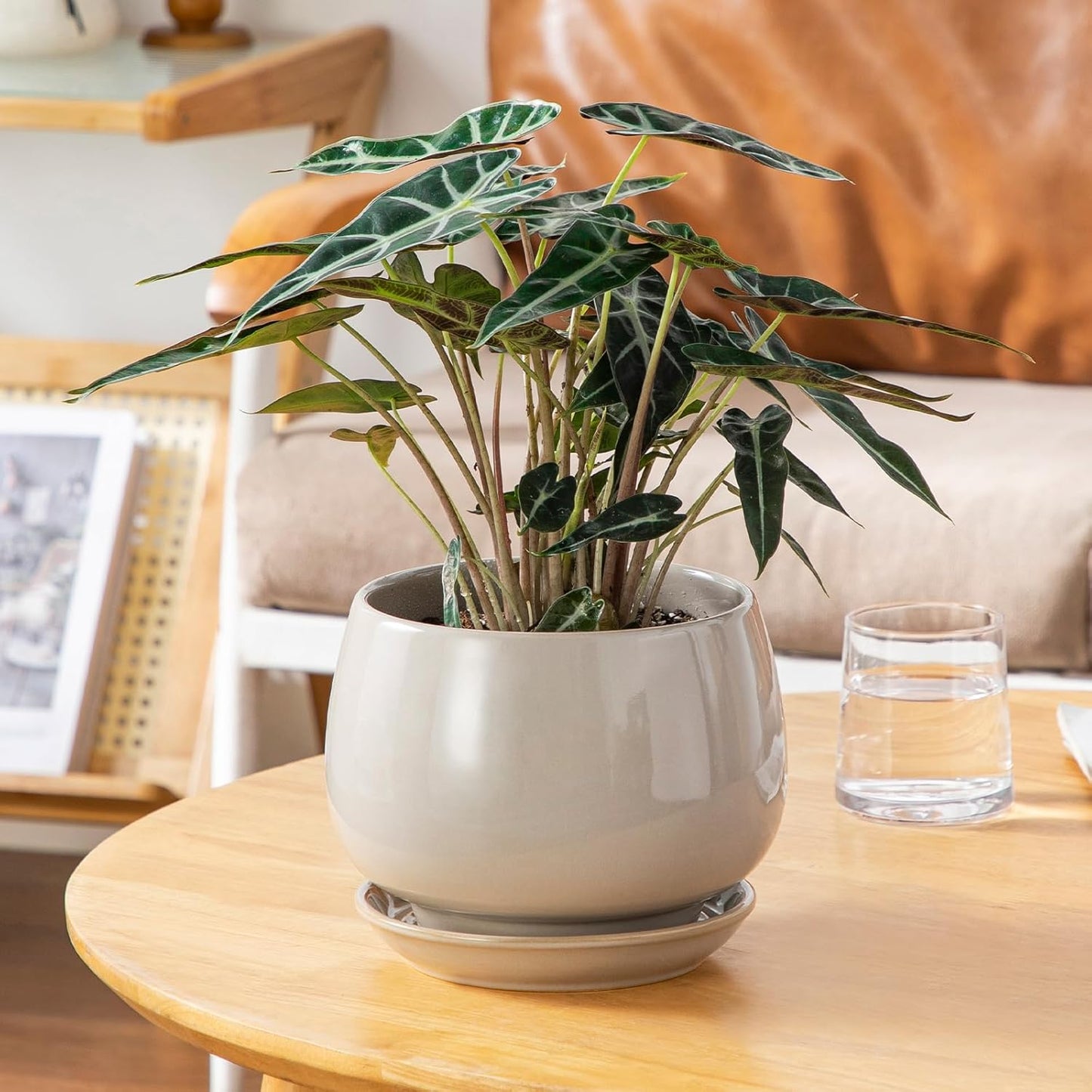 vancasso 3-Pack Ceramic Plant Pots, 3.7/4.8/6.2 Inch Indoor Planters with Saucers & Drainage Hole Planter pots for Indoor Plants and Flower, White