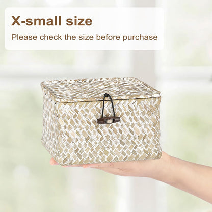 Hipiwe Seagrass Basket with Lid Wicker Storage Basket Square Handwoven Decorative Baskets Box for Shelf Multipurpose Household Baskets Home Decor,X-small