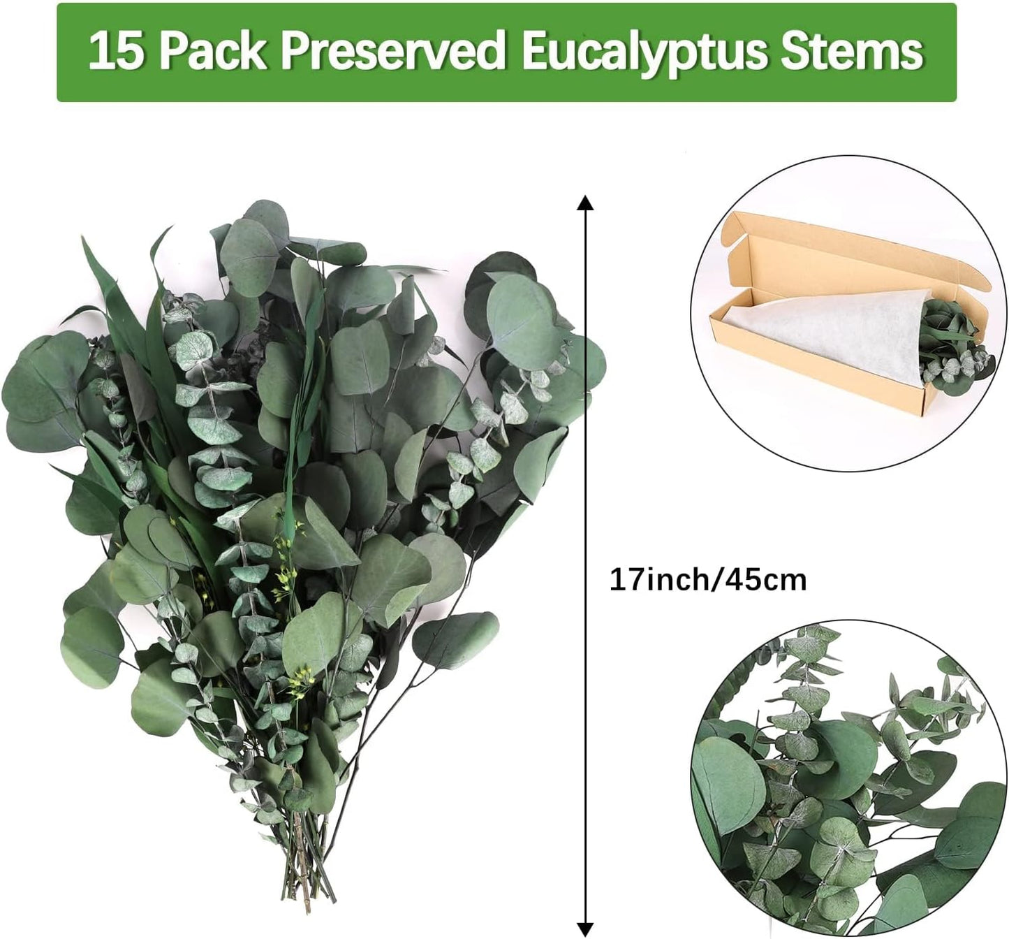 Real Eucalyptus Stems 20PCS Dried Preserved Fresh Eucalyptus Silver Dollar Leaves for Shower - Greenery Branches for Wedding Home Party Vase Filler Spring Decor