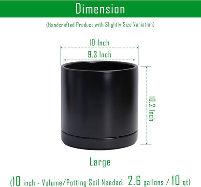 D'vine Dev Set of 2 Plants Pots, 6.5 Inch Ceramic Planter Pot for Plants with Drainage Hole and Saucer, White, 94-V-C-1