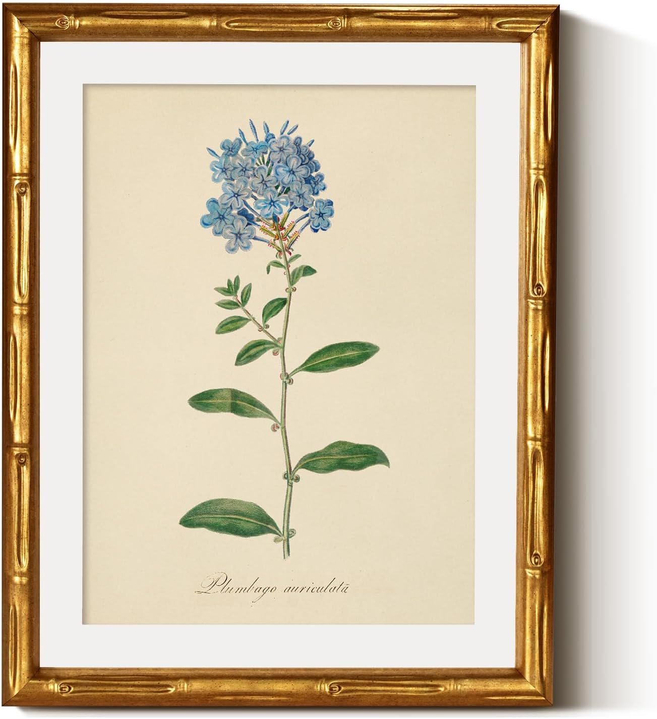 InSimSea Gold Bamboo Framed Canvas Wall Art, Retro Blue Hydrangea Botanical Prints, Antique Flowers Picture Frame with Mat, Victorian Home Wall Decor for Kitchen Living Room Bedroom, 11x14inch