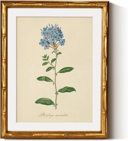 InSimSea Gold Bamboo Framed Canvas Wall Art, Retro Blue Hydrangea Botanical Prints, Antique Flowers Picture Frame with Mat, Victorian Home Wall Decor for Kitchen Living Room Bedroom, 11x14inch