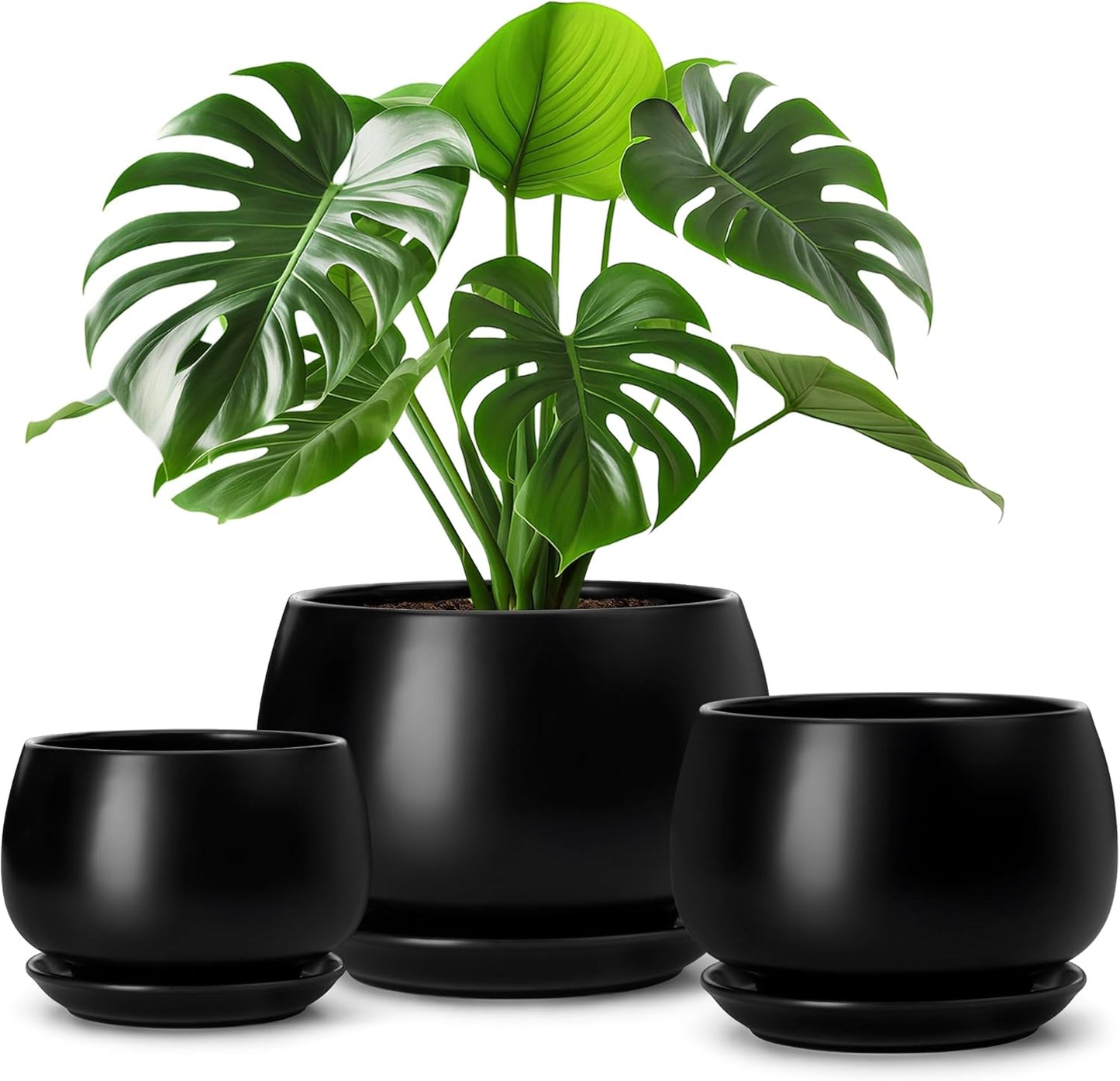 vancasso 3-Pack Ceramic Plant Pots, 3.7/4.8/6.2 Inch Indoor Planters with Saucers & Drainage Hole Planter pots for Indoor Plants and Flower, White