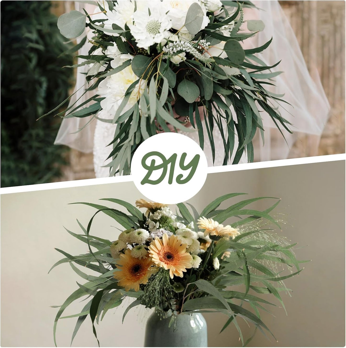 Real Eucalyptus Stems 20PCS Dried Preserved Fresh Eucalyptus Silver Dollar Leaves for Shower - Greenery Branches for Wedding Home Party Vase Filler Spring Decor