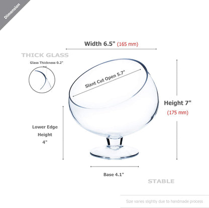 WGVI Clear Slant Cut Bowl Glass Vase, Glass Terrarium, Candy Dish, Glassware, Slant Open: 7". Height: 6" x 2.7". Base: 4" (1 Piece)