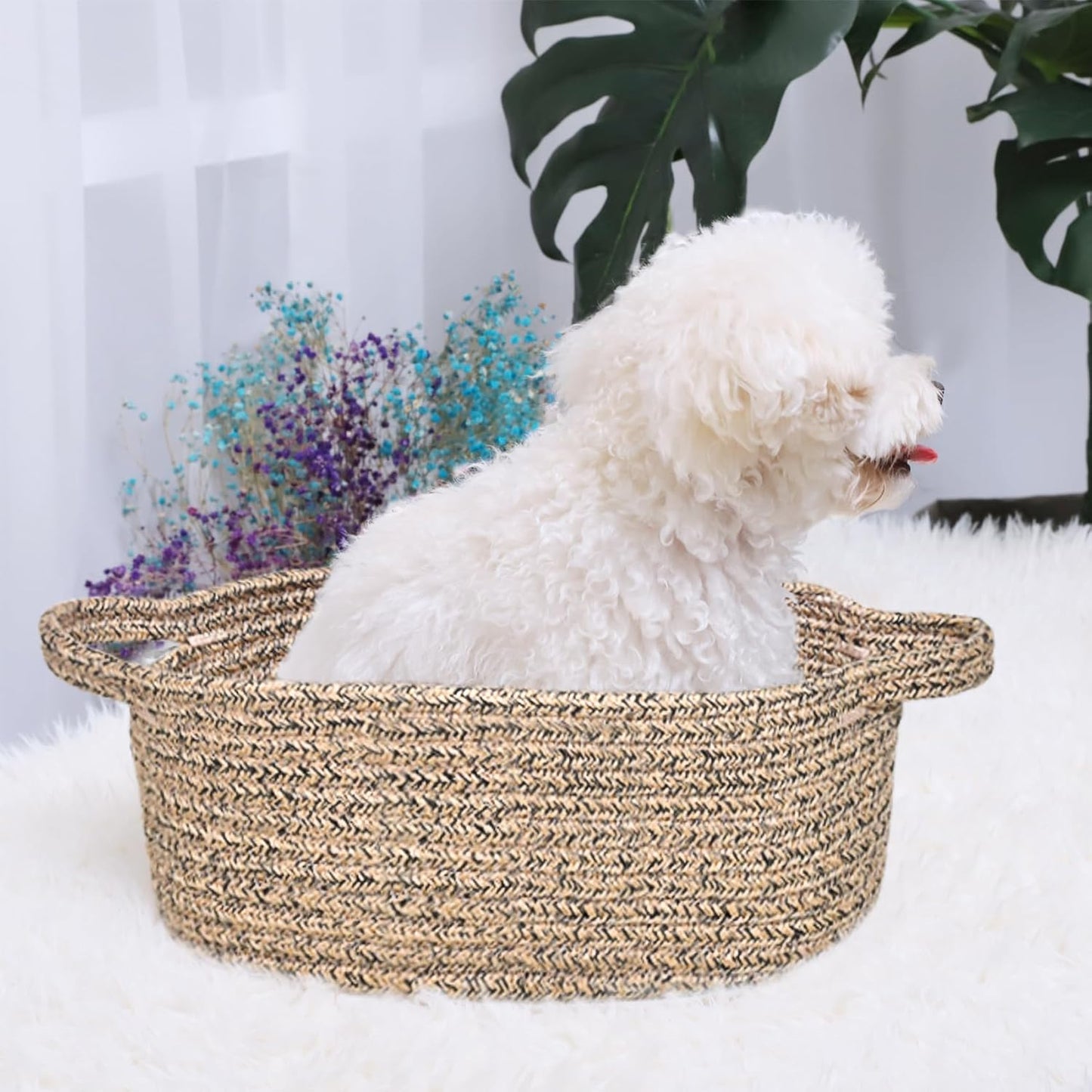 ABenkle Small Basket with Handles, Boho Decorative Rope Woven Dog Cat Toy Storage Bin Shelf Storage Organizer, Easter Christmas Gift Basket, 12"x8"x5", White