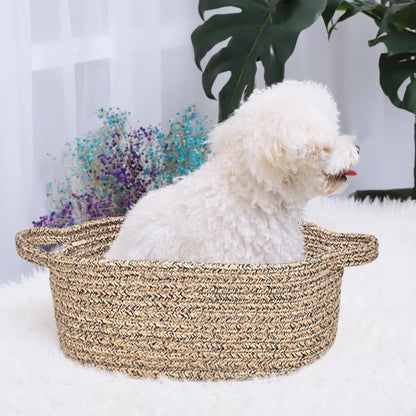 ABenkle Small Basket with Handles, Boho Decorative Rope Woven Dog Cat Toy Storage Bin Shelf Storage Organizer, Easter Christmas Gift Basket, 12"x8"x5", White