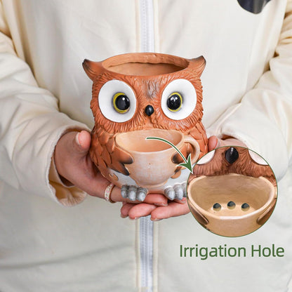 Saysmile Unique Owl Plant Pots Indoor, Cute Small Succulent Pots with Drainage Hole, Rocking Chair Planters for Outdoor Indoor Plants, Resin Flower Pot for String of Pearls, Gift Ideas for Mother