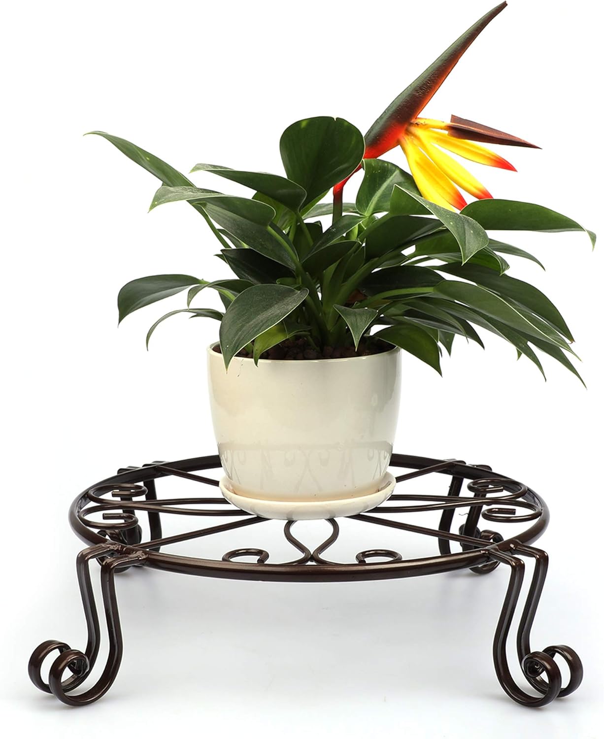 12"x3.1" Black Plant Stand for Flower Pot Heavy Duty Potted Holder Indoor Outdoor Metal Rustproof Iron Garden Container Round Supports Rack for Planter Bronze,Pumpkin Stand Outdoor
